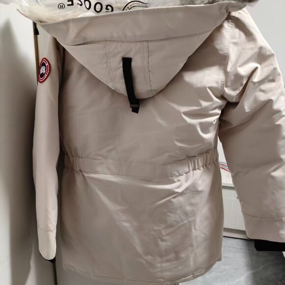 Canada goose - Picture 5 of 5